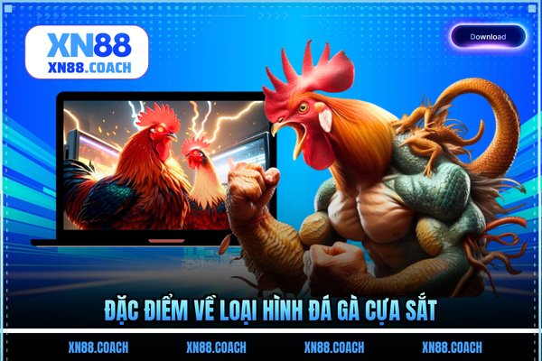 Đặc điểm về loại hình đá gà cựa sắt